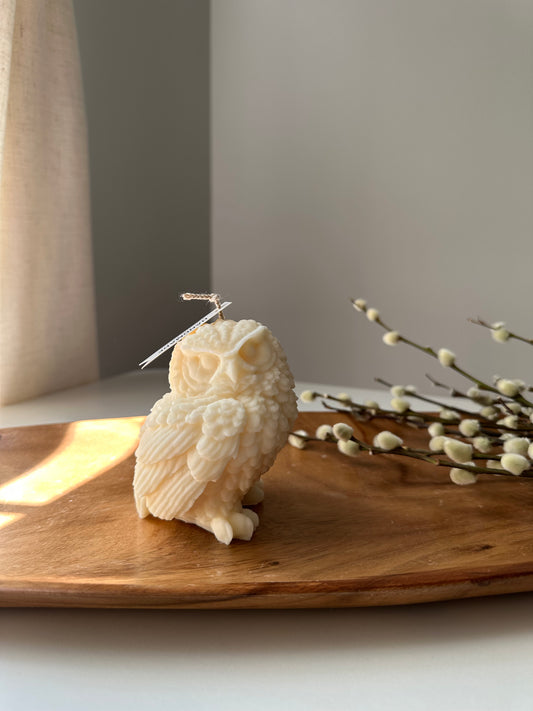 Owl