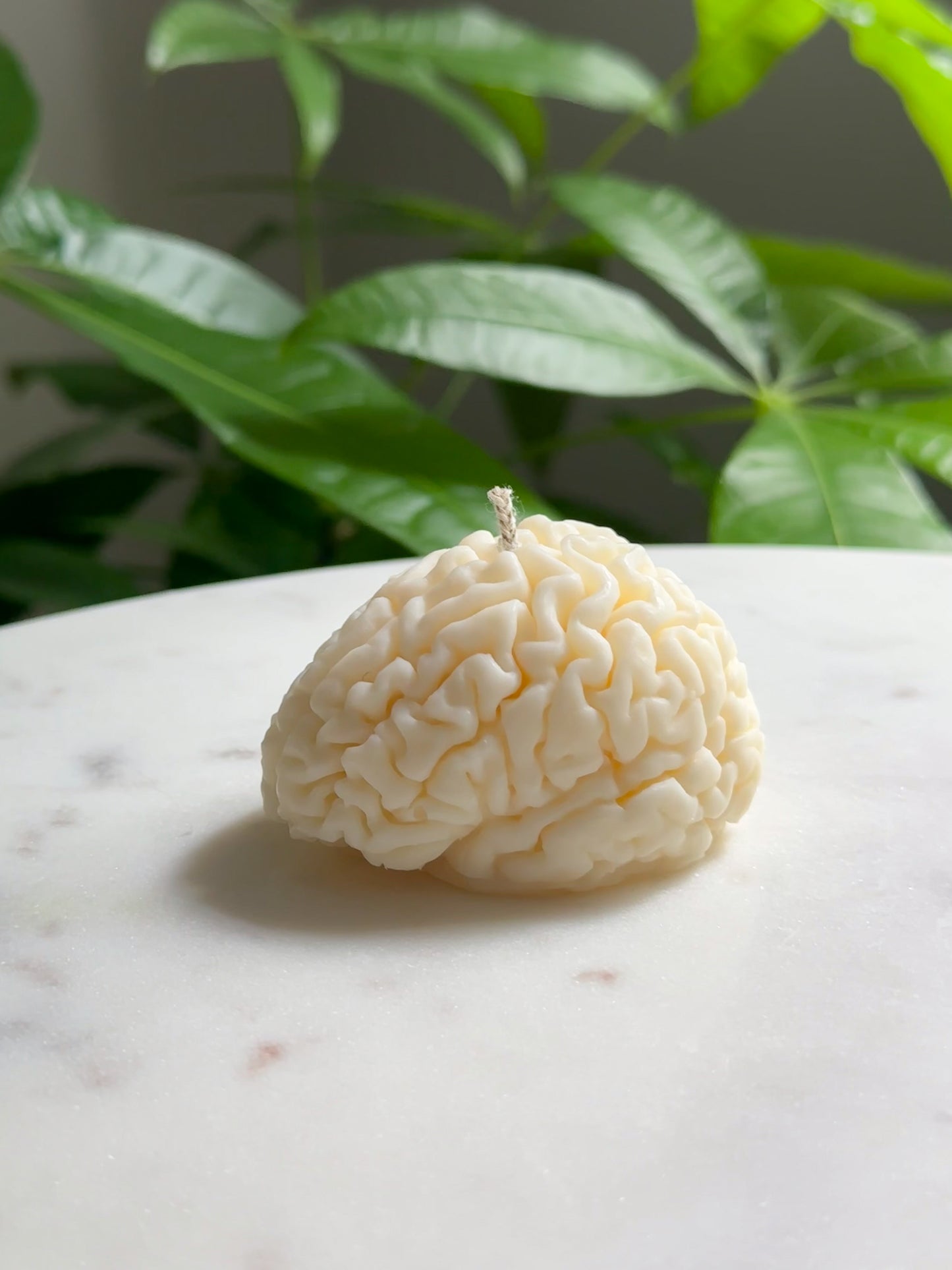Brain Candle