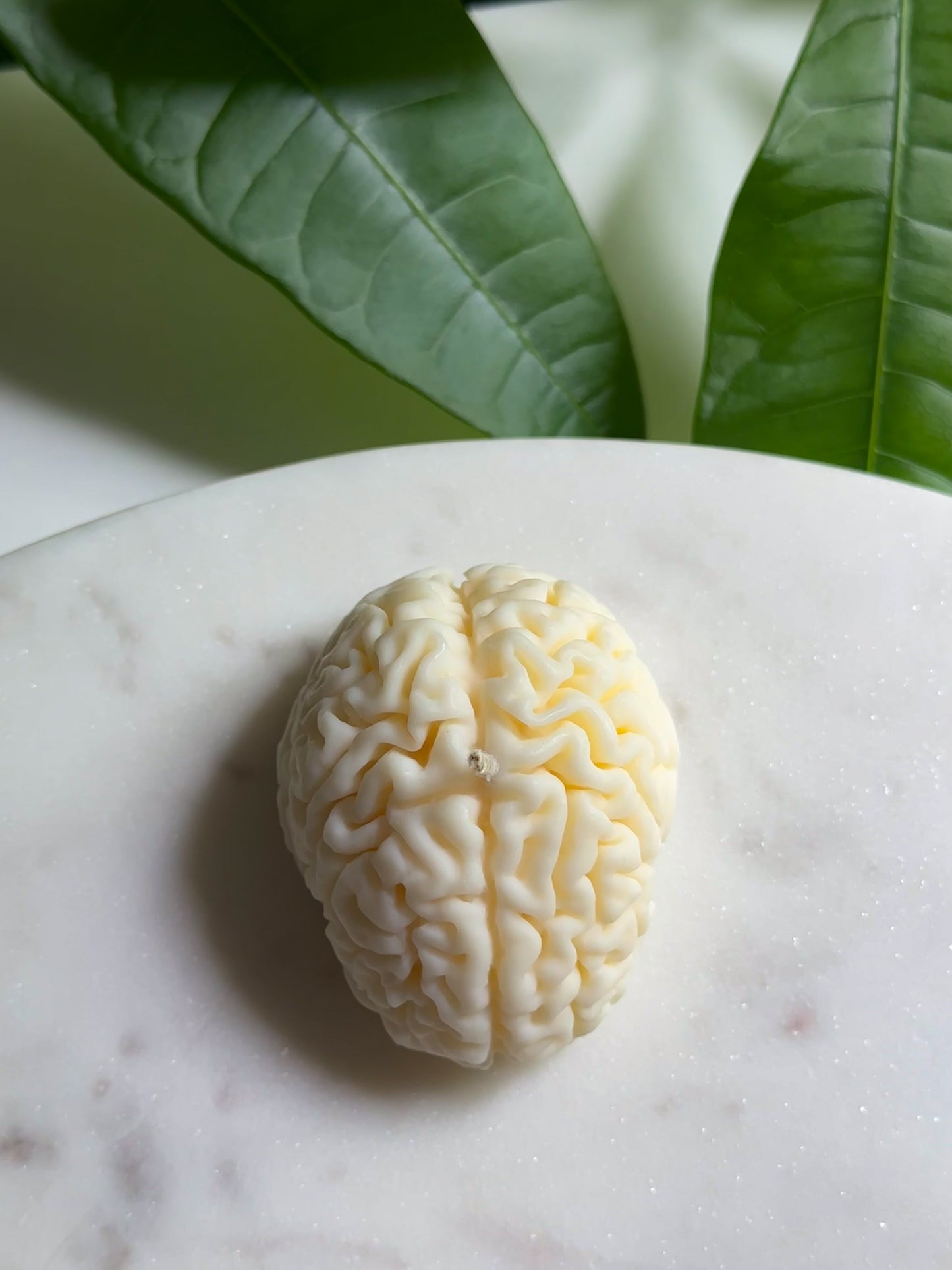 Brain Candle