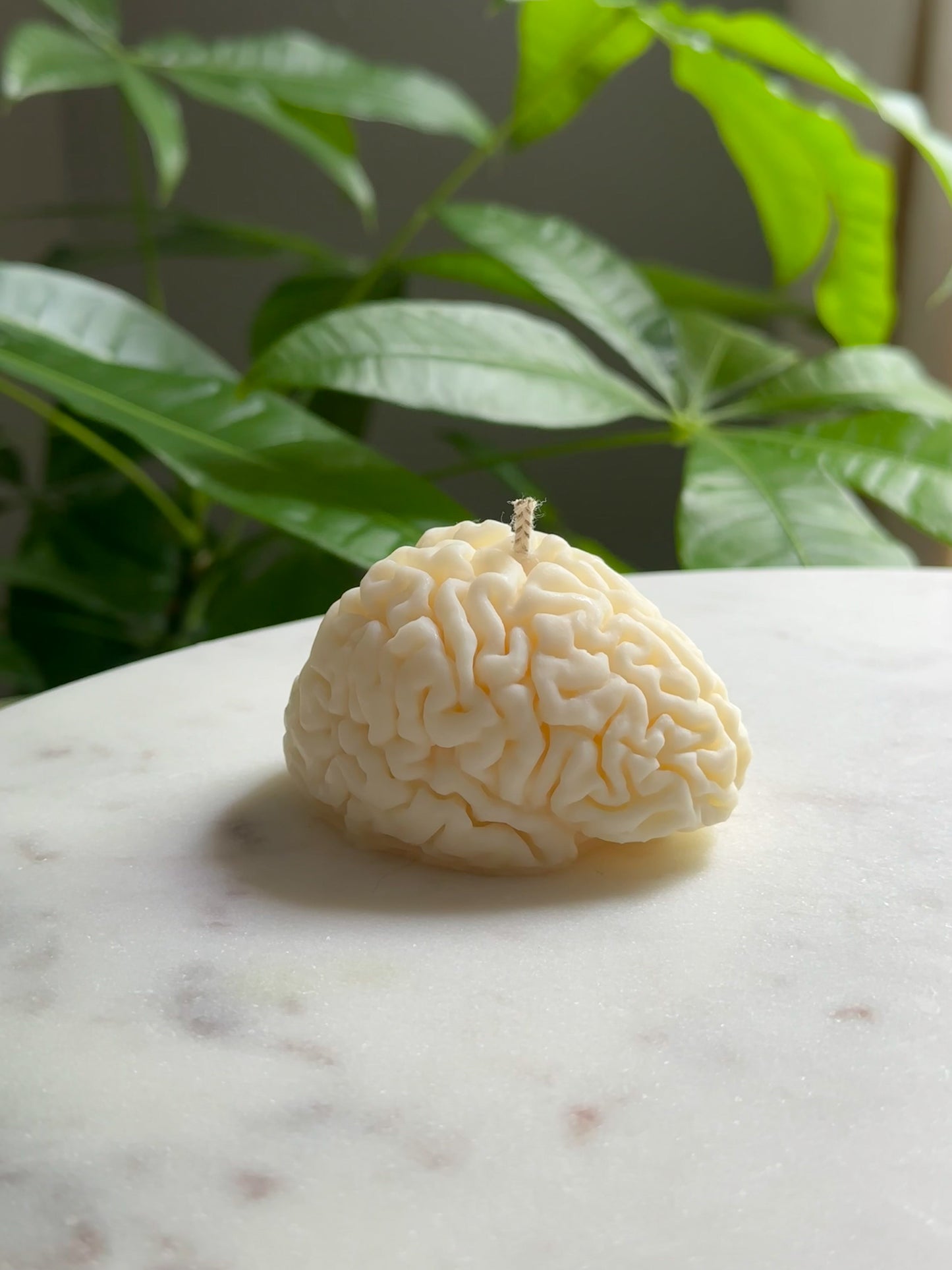 Brain Candle