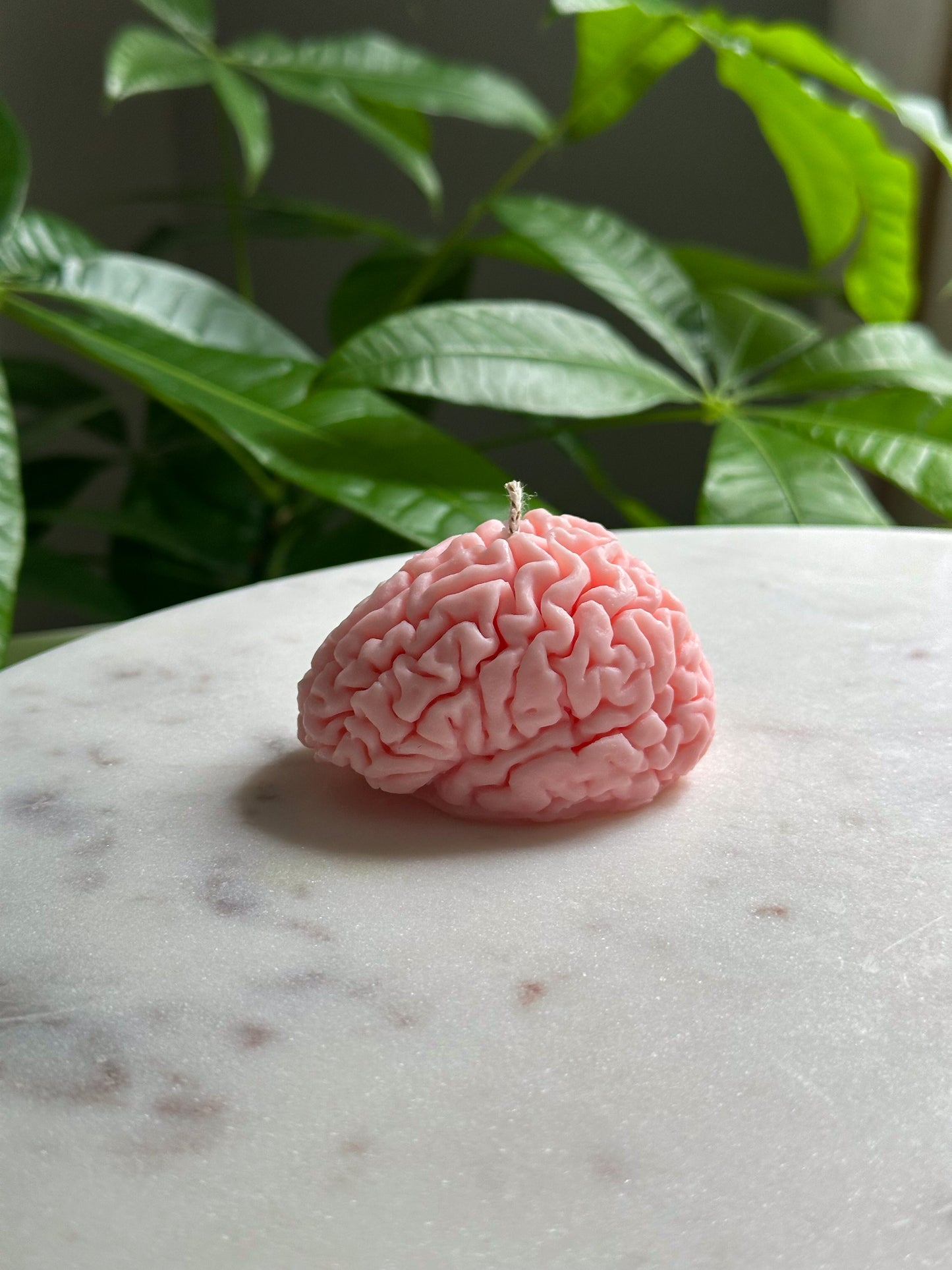 Brain Candle