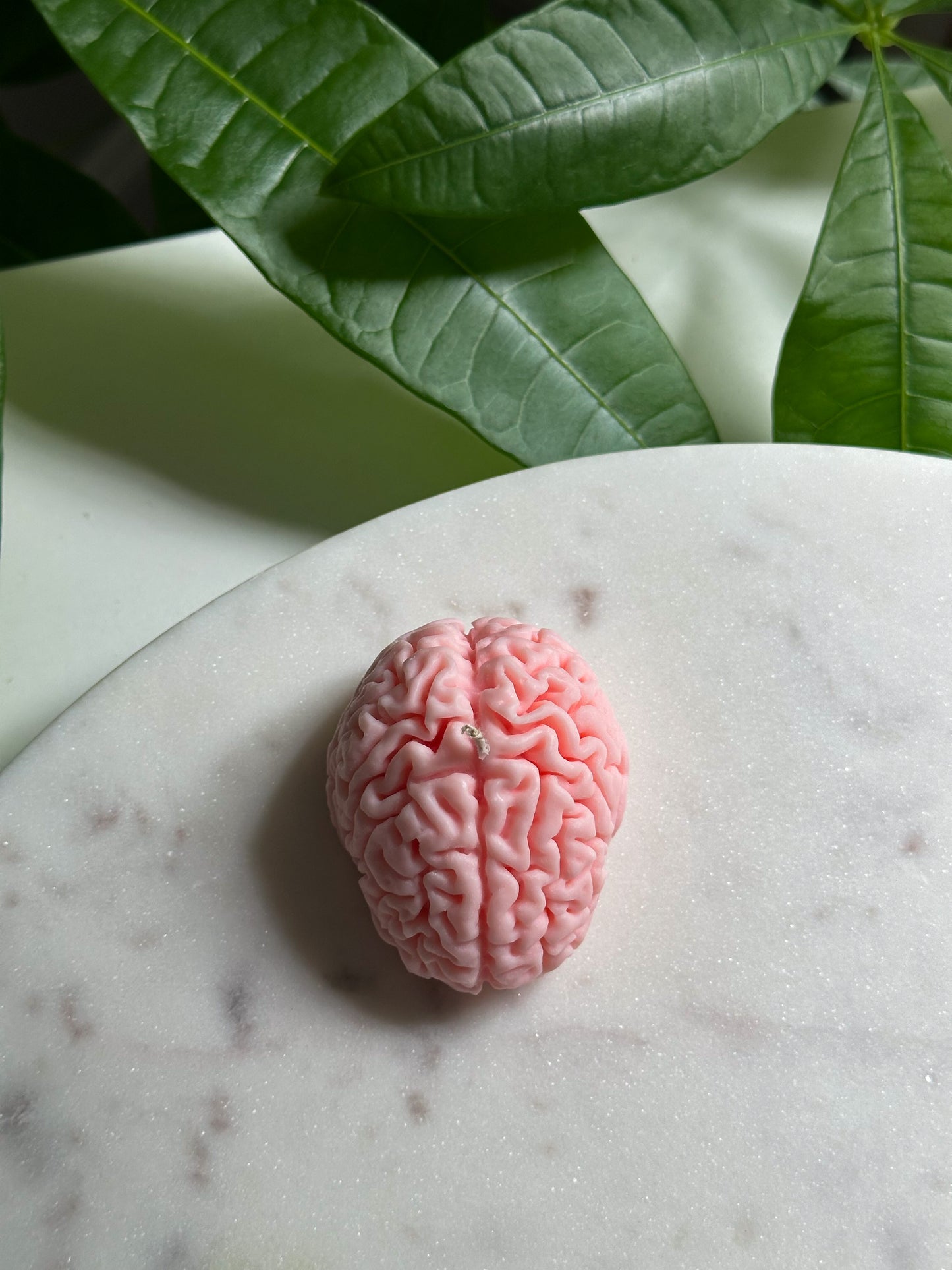 Brain Candle