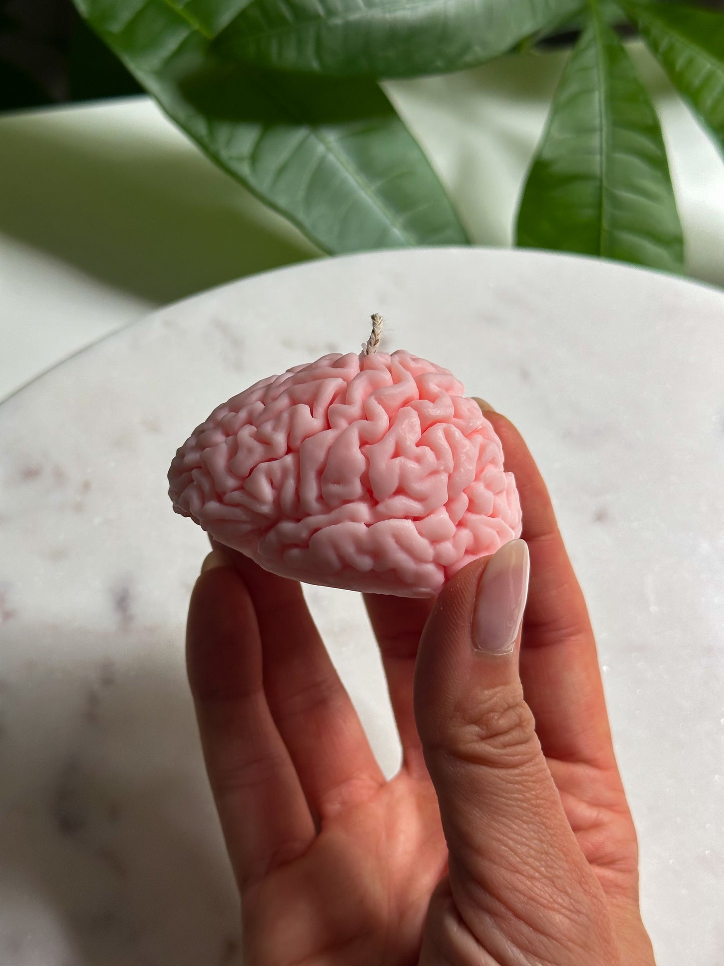 Brain Candle