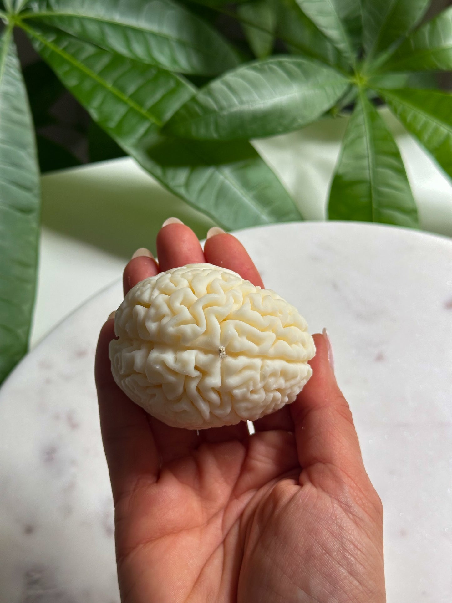 Brain Candle