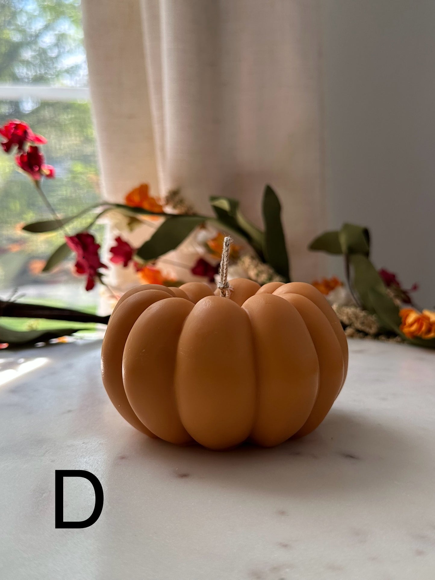 Pumpkin (Fall Collection)