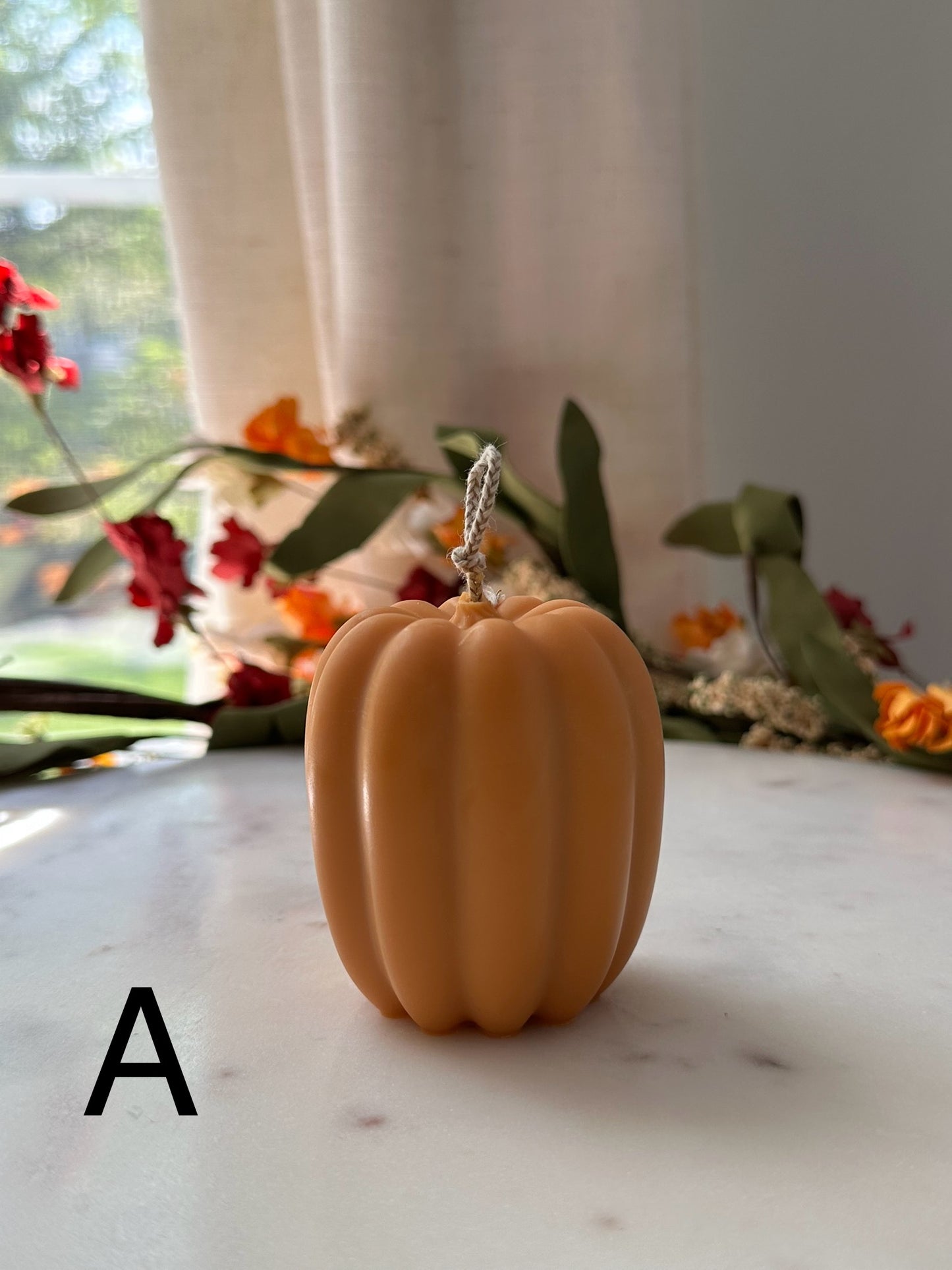Pumpkin (Fall Collection)