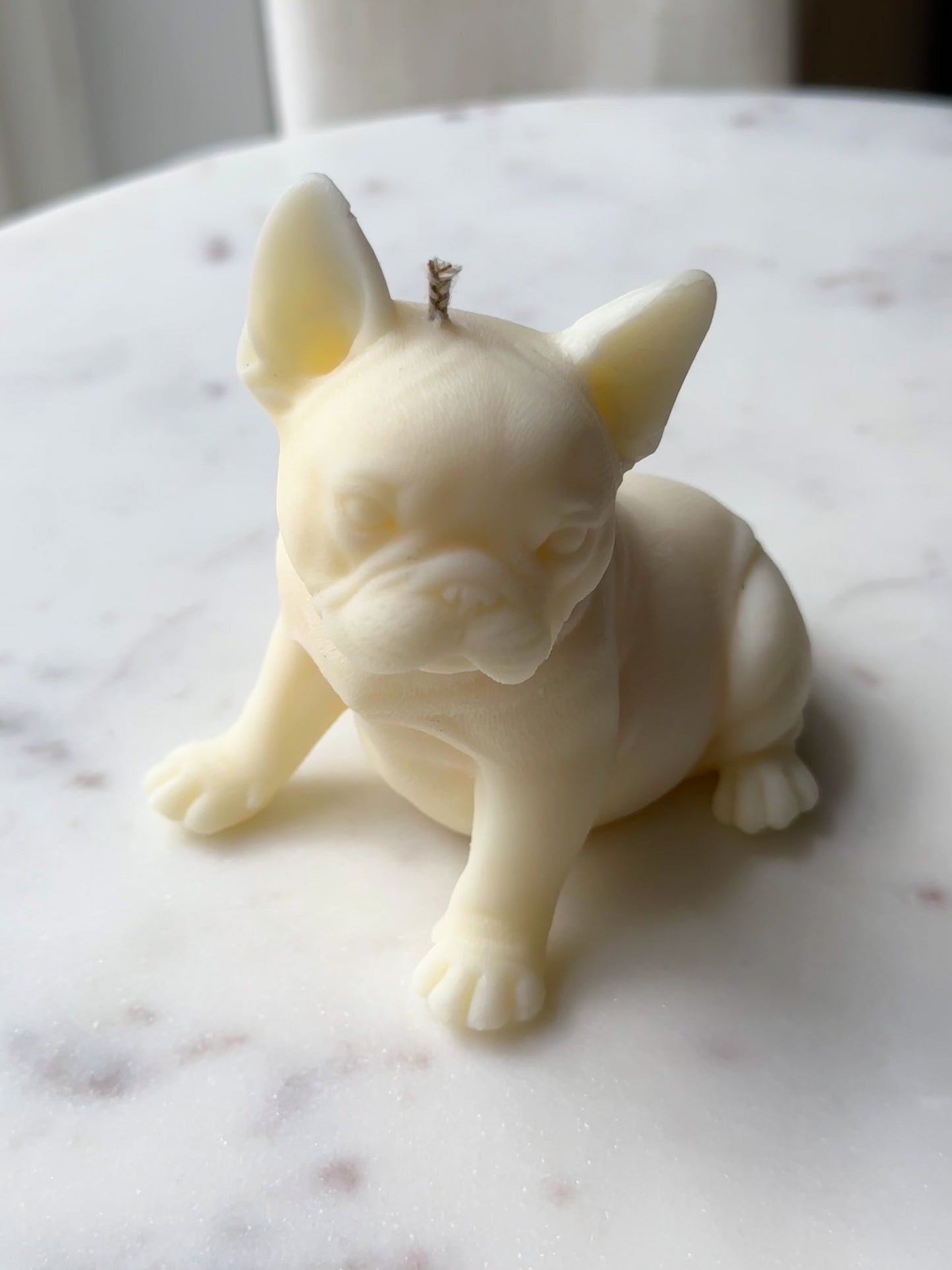 Bulldog (small)